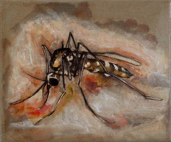 aedes-albopictus