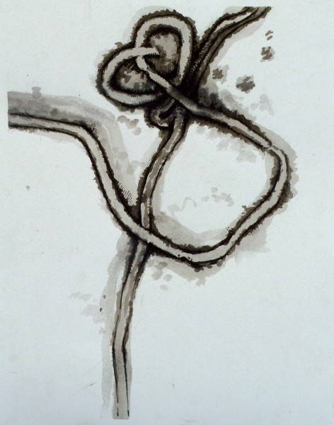 ink-ebola