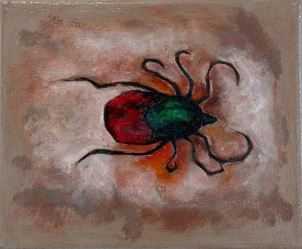 ixodes-ricinus