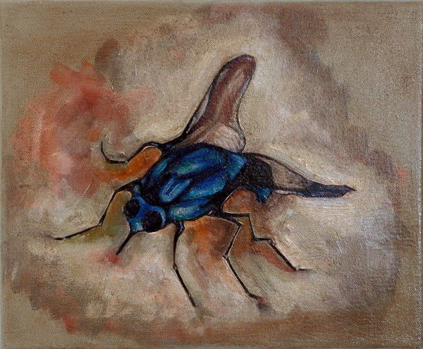 stomoxys-calcitrans