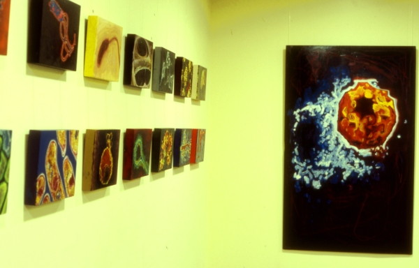 microbes
